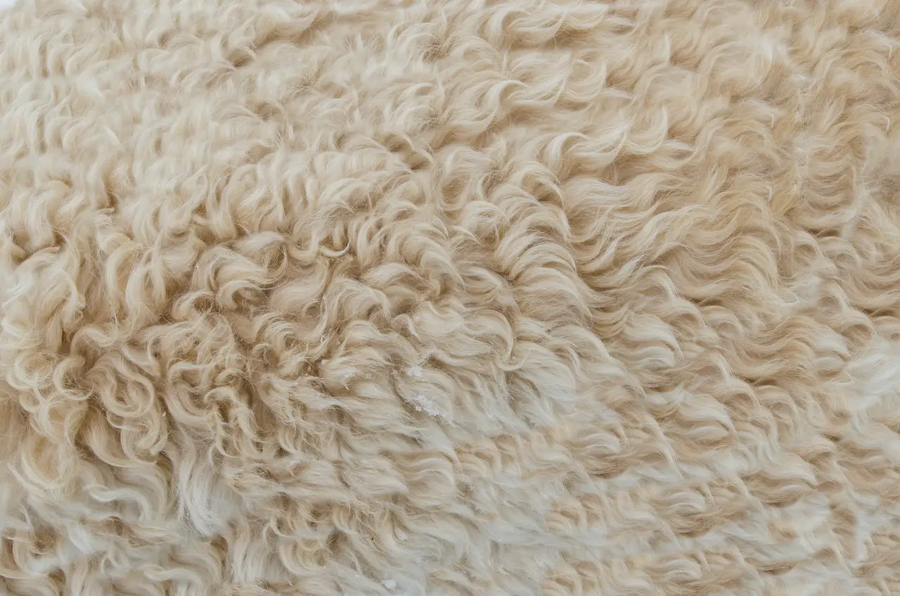 Can You Sew Real Fur with a Sewing Machine?